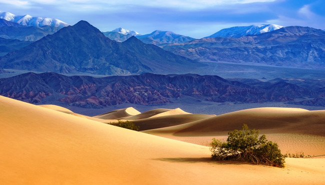 Обои картинки фото долина смерти,  сша, природа, пустыни, песок, пустыня, горы, куст