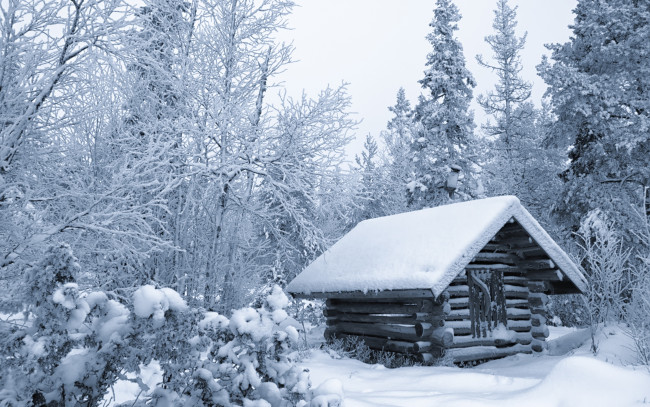 Обои картинки фото природа, зима, лес, избушка, деревья, финляндия, хижина, снег