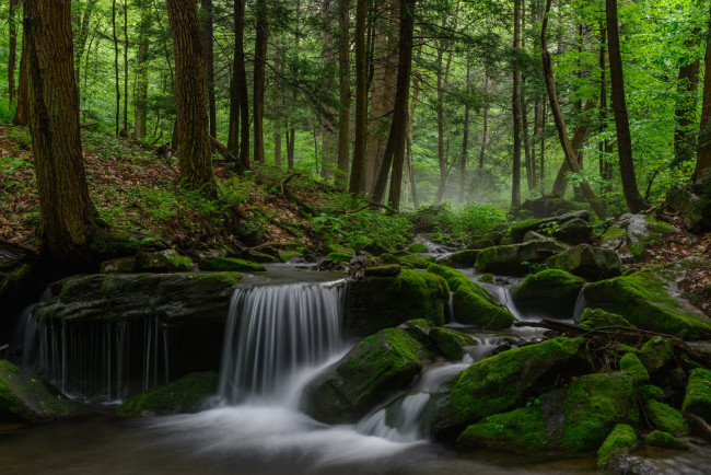 Обои картинки фото природа, водопады, мох, река, деревья, лес