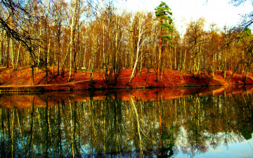 Картинка природа реки озера краски березки осень лес река
