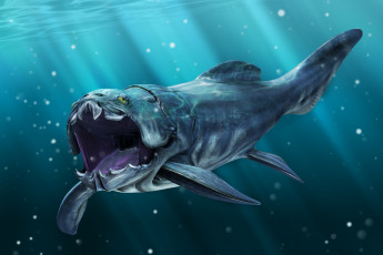 Картинка 3д+графика животные+ animals рыба
