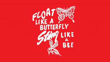 обоя бренды, adidas, надпись, пчела, бабочка