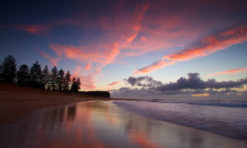 Картинка природа побережье море деревья закат берег