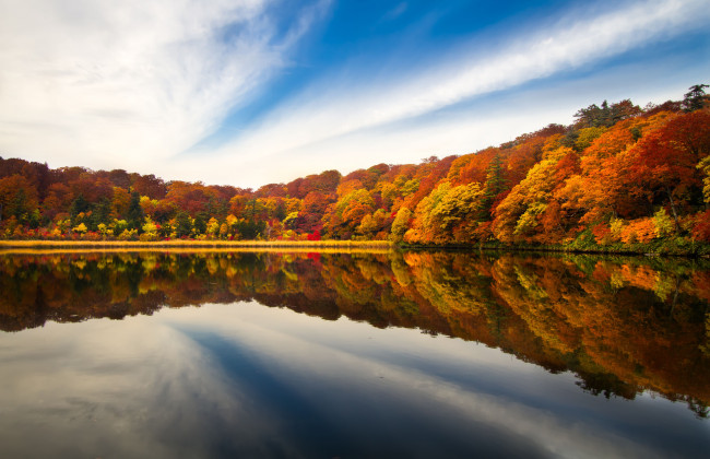 Обои картинки фото природа, реки, озера, лес, озеро, осень, деревья