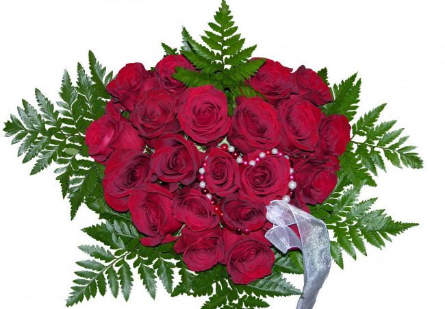 Обои картинки фото цветы, розы, бусы, папоротник, лента