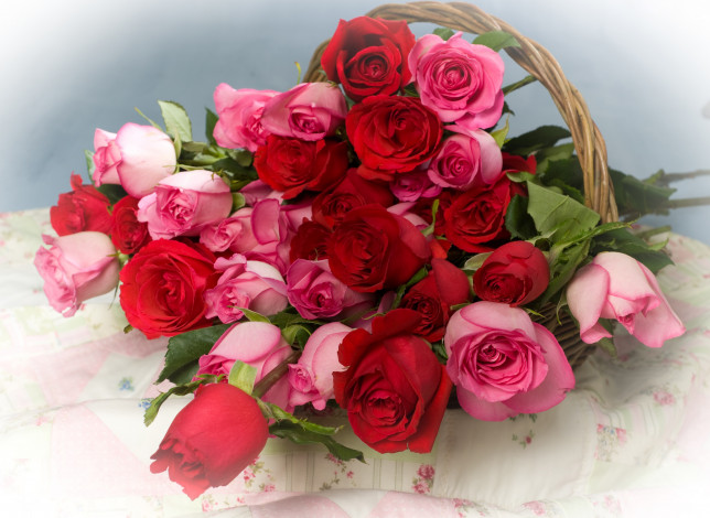 Обои картинки фото цветы, розы, красный, розовый, букет, корзинка