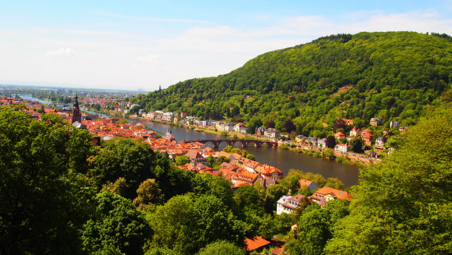Обои картинки фото heidelberg, германия, города, гейдельберг, мосты, река, дома, зелень