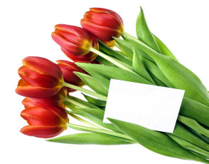 Картинка цветы тюльпаны бутоны записка