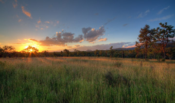 Картинка природа восходы закаты свет деревья поле трава солнце облака