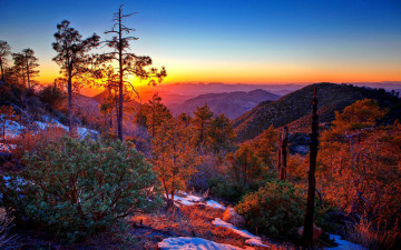 Картинка природа восходы закаты горы лес закат кусты