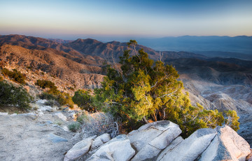 Картинка природа горы панорама дерево камни