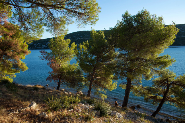 Обои картинки фото 352, ibenik,  croatia, природа, реки, озера, река, деревья, побережье