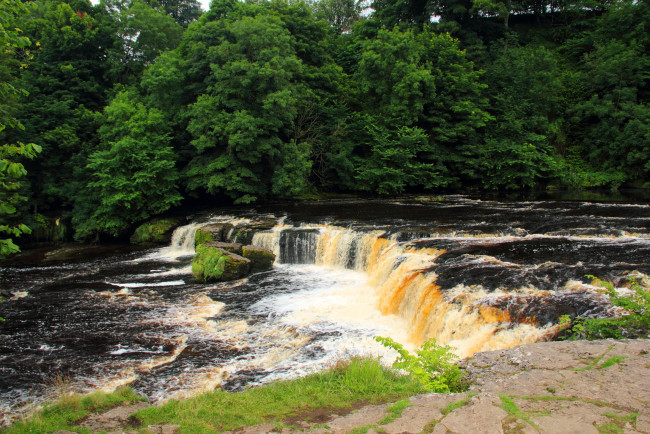 Обои картинки фото aysgarth falls,  yorkshire  england, природа, водопады, водопад, лес, река