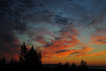 Картинка природа восходы закаты силуэт небо облака горизонт деревья