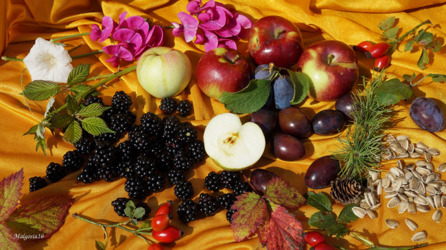 Обои картинки фото еда, фрукты,  ягоды, ягоды, сливы, ежевика, шиповник
