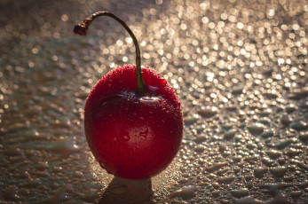 Картинка еда вишня +черешня ягодка красный макро капли