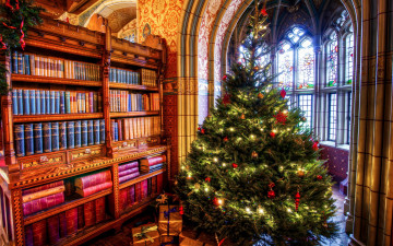обоя праздничные, Ёлки, подарки, елка, книги, библиотека