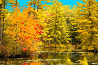 Картинка природа реки озера отражение осень река