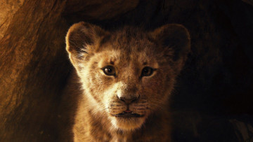 Картинка the+lion+king+ 2019 кино+фильмы -unknown+ другое приключения драма мюзикл король лев the lion king