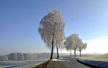 Картинка природа дороги зима шоссе деревья снег