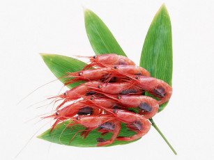 Картинка еда рыба морепродукты суши роллы