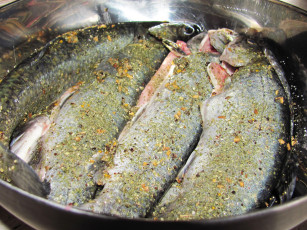 Картинка еда рыба морепродукты суши роллы форель приправы