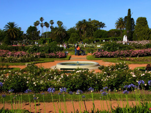 Картинка природа парк деревья клумбы фонтан цветы