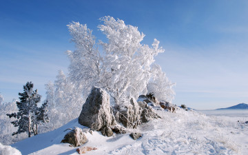 обоя природа, зима, камни, снег, деревья