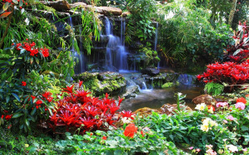 Картинка природа парк водопад цветы