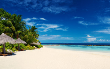 Картинка природа тропики maldives мальдивы океан пальмы пляж побережье