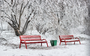 Картинка природа зима скамейки парк снег