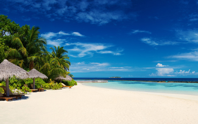 Обои картинки фото природа, тропики, maldives, мальдивы, океан, пальмы, пляж, побережье