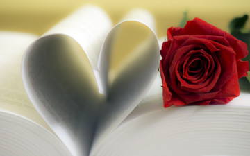 Картинка цветы розы страницы книга сердце red rose роза love flower romantic