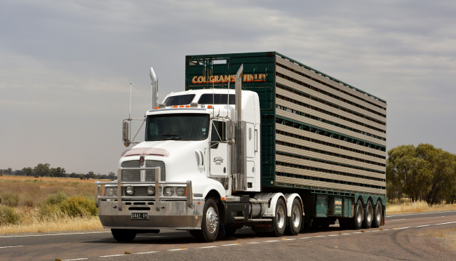Обои картинки фото grays t604, автомобили, kenworth, тяжелый, грузовик, седельный, тягач