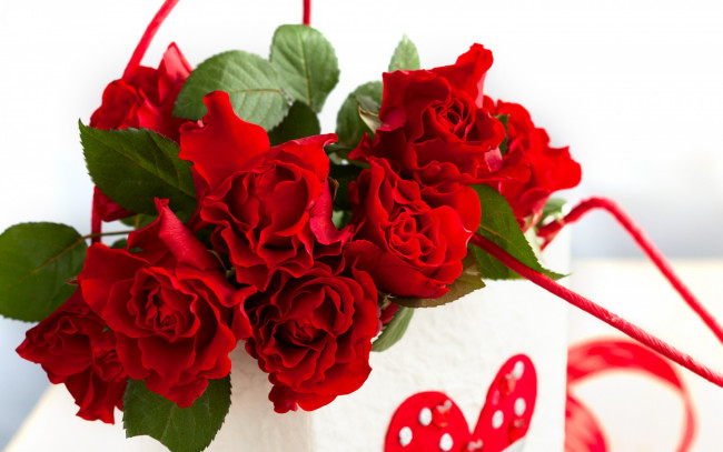 Обои картинки фото цветы, розы, romantic, valentine's, day, rose, love, heart