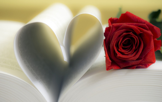 Обои картинки фото цветы, розы, страницы, книга, сердце, red, rose, роза, love, flower, romantic