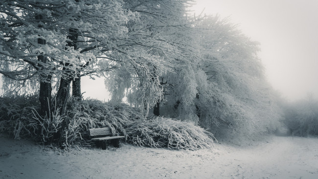 Обои картинки фото природа, зима, иней, снег, деревья, скамейка