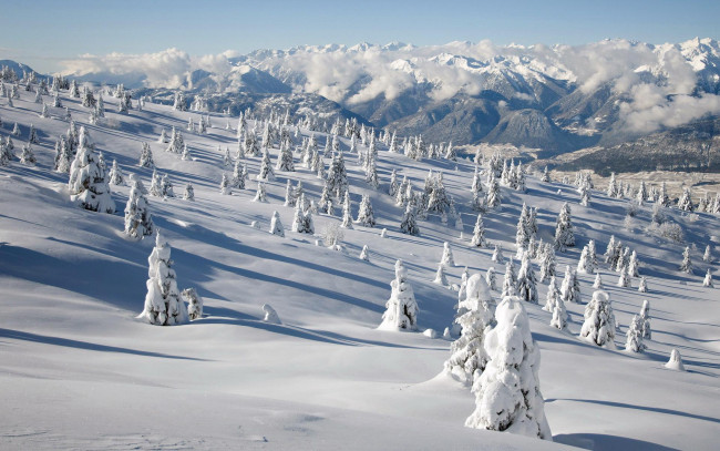 Обои картинки фото природа, зима, склон, ёлки, облака, горы, деревья, снег