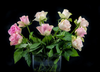 Картинка цветы букеты +композиции розы фон