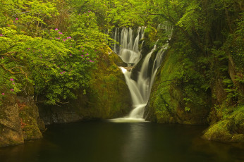 Картинка природа водопады уэльс machynlleth деревья лес великобритания