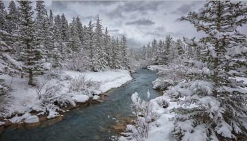 Картинка природа реки озера зима деревья река