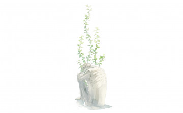 Картинка аниме unknown +другое скелет растение