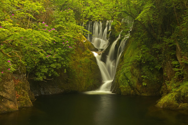 Обои картинки фото природа, водопады, уэльс, machynlleth, деревья, лес, великобритания