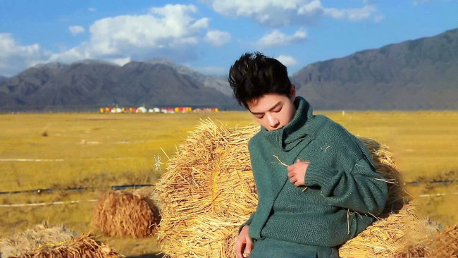 Обои картинки фото мужчины, xiao zhan, свитер, степь, солома, горы