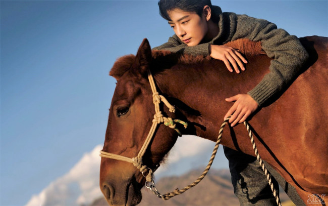 Обои картинки фото мужчины, xiao zhan, актер, свитер, лошадь