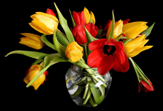 Обои картинки фото цветы, тюльпаны, ваза, букет