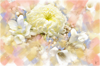 Картинка рисованные цветы фрезии хризантема