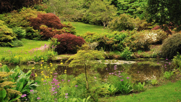 Картинка exbury+gardens+англия природа парк exbury gardens англия сад кусты деревья пруд
