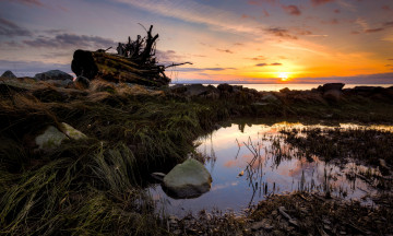 Картинка природа восходы закаты трава берег океан солнце лужи тучи коряги