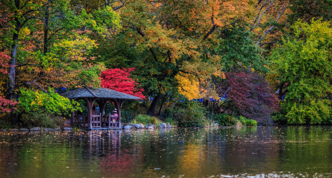 Обои картинки фото природа, реки, озера, краски, листва, река, деревья, беседка, трава, осень